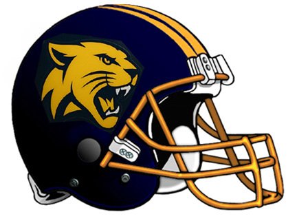 Weston Wildcats helmet