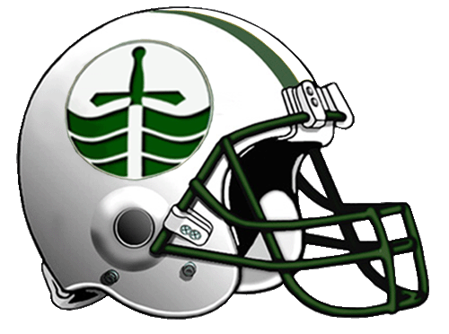 York Excaliburs helmet